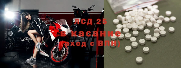 прущие грибы Балахна