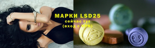амф Осташков