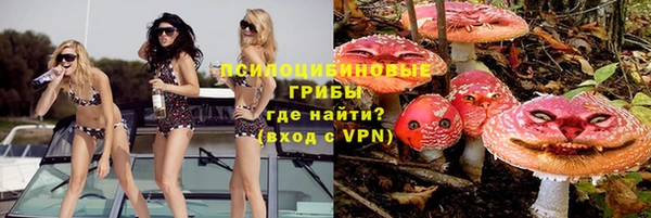 прущие грибы Балахна